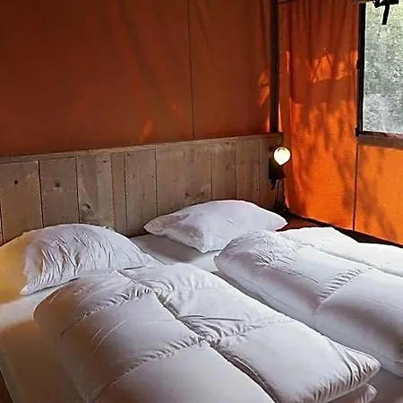 Europarcs Molengroet 4* Sint Pancras